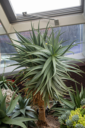 A44A2506