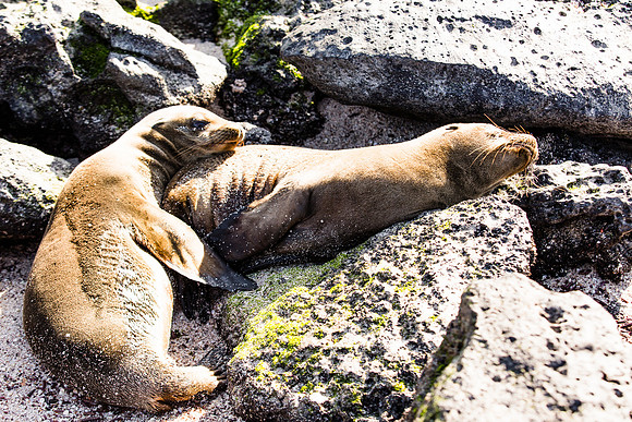 IMG_6889