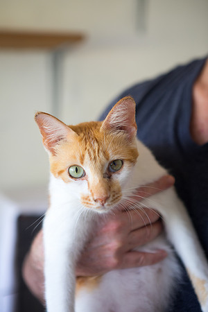 A44A2939