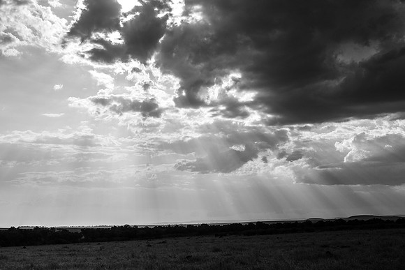 IMG_7817