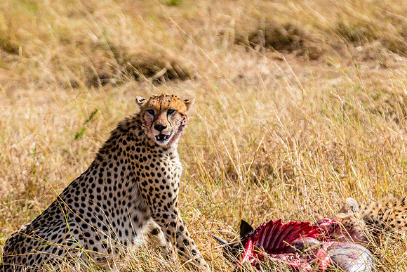 IMG_4548