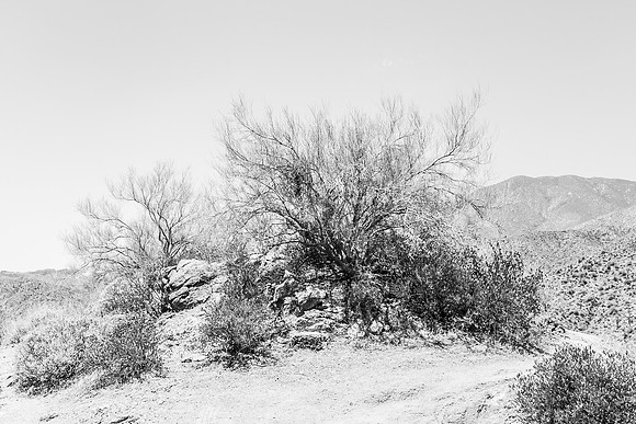 IMG_8355