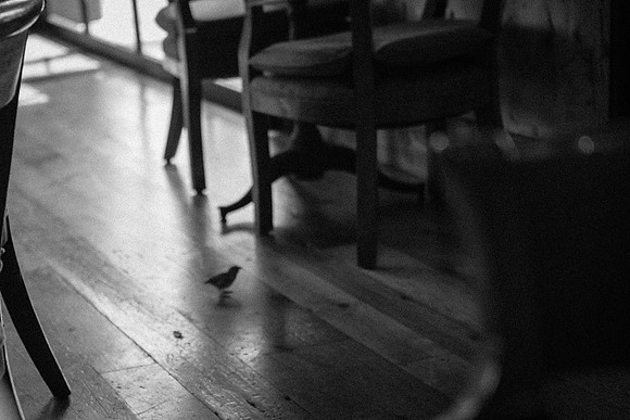IMG_8414