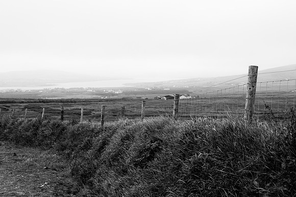 IMG_1517