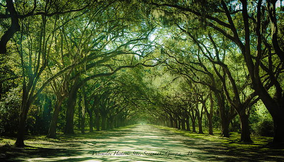 A44A9043