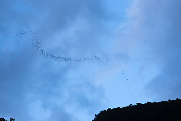 IMG_0712