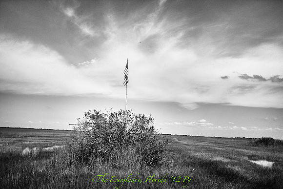 IMG_0835-Edit