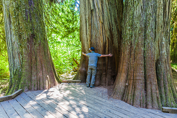 A44A1880
