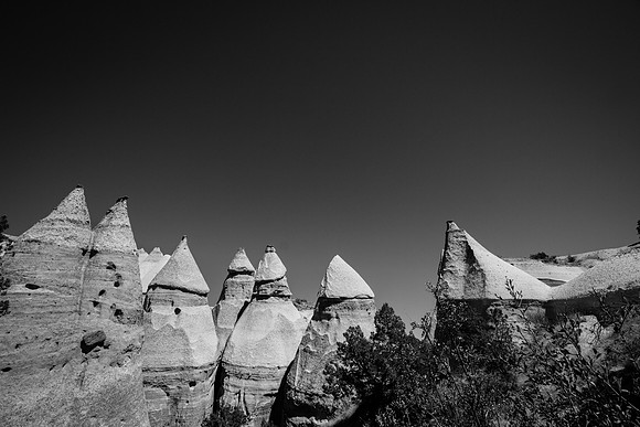IMG_9519