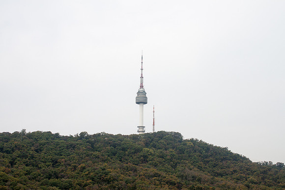 IMG_9302