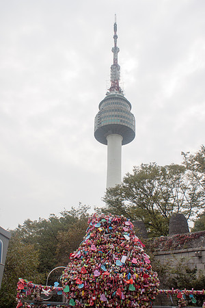 IMG_9374